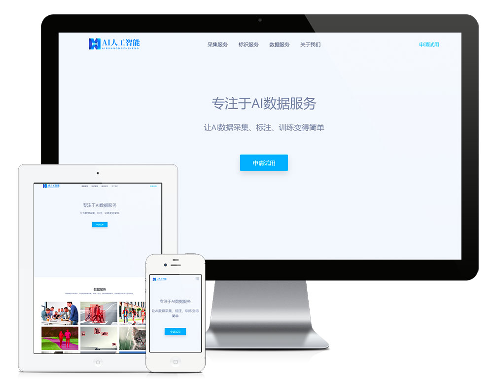 響應(yīng)式AI數(shù)據(jù)服務(wù)采集網(wǎng)站模板(圖1)